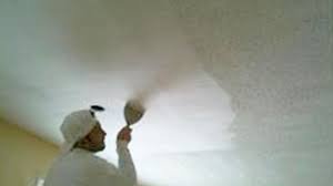 Transform Your Home with Professional House Painters